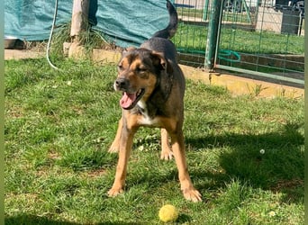 Jerome ( * 01.2019 ) sucht seine Menschen