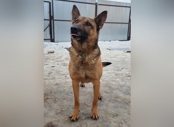 Yara ( * 05/ 2018 ) sucht ihre Familie