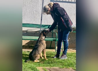 Jerome ( * 01.2019 ) sucht seine Menschen