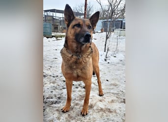 Yara ( * 05/ 2018 ) sucht ihre Familie