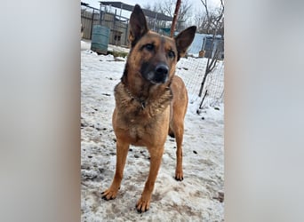 Yara ( * 05/ 2018 ) sucht ihre Familie