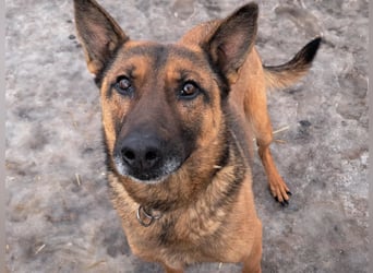 Yara ( * 05/ 2018 ) sucht ihre Familie