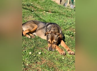 Jerome ( * 01.2019 ) sucht seine Menschen