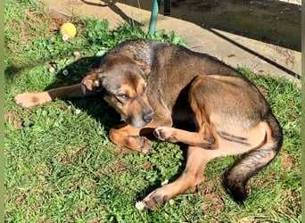 Jerome ( * 01.2019 ) sucht seine Menschen