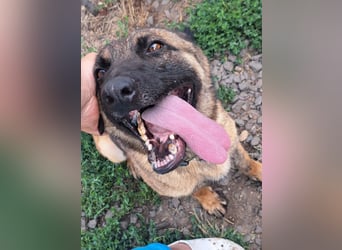 Odin sucht die Nadel im Heuhaufen