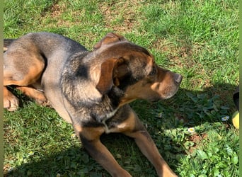 Jerome ( * 01.2019 ) sucht seine Menschen