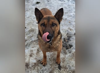 Yara ( * 05/ 2018 ) sucht ihre Familie