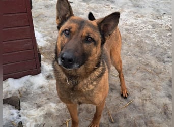 Yara ( * 05/ 2018 ) sucht ihre Familie