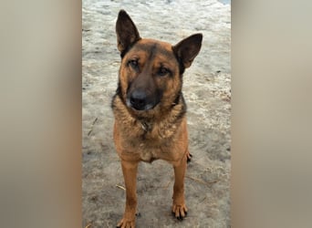 Yara ( * 05/ 2018 ) sucht ihre Familie