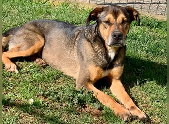 Jerome ( * 01.2019 ) sucht seine Menschen