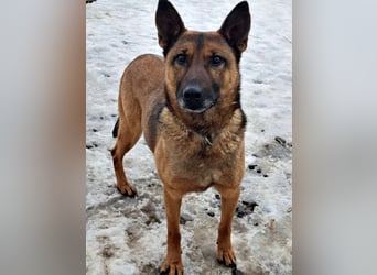 Yara ( * 05/ 2018 ) sucht ihre Familie