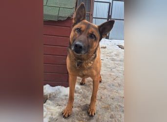 Yara ( * 05/ 2018 ) sucht ihre Familie