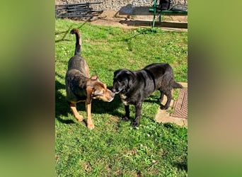 Jerome ( * 01.2019 ) sucht seine Menschen