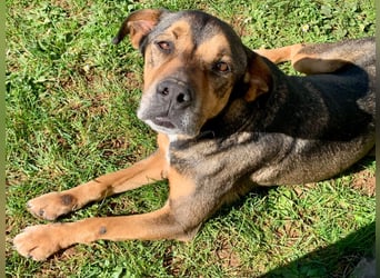 Jerome ( * 01.2019 ) sucht seine Menschen