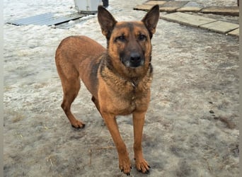 Yara ( * 05/ 2018 ) sucht ihre Familie