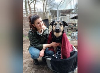 Marton (PLZ 497**) sucht seine(n) Menschen