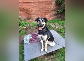 Marton (PLZ 497**) sucht seine(n) Menschen