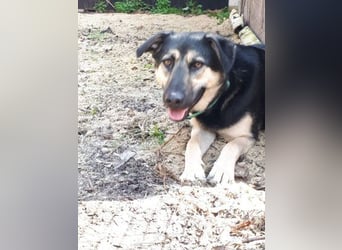 Marton (PLZ 497**) sucht seine(n) Menschen