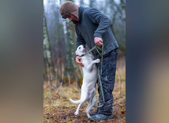 Aufgeschlossener Lord sucht aufgeschlossene Menschen