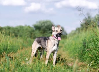 Mika sucht liebevolle Menschen