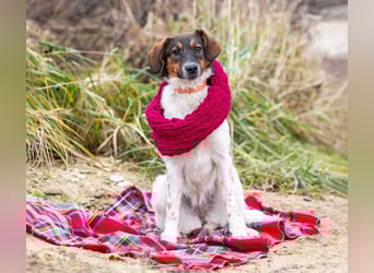 Greta sucht ihre Menschen für immer