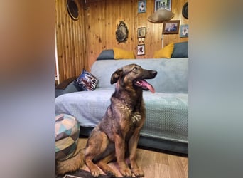 Ein Herz für Vasilisa geben Sie ihr eine Chance auf ein glückliches Leben!