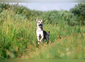 Mika sucht liebevolle Menschen