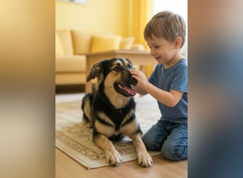 Der mutige Philip sucht seine Menschen