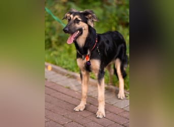 Der mutige Philip sucht seine Menschen