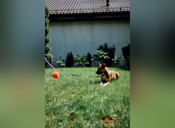 Eva sucht neues Glück für immer
