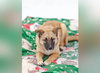 Zuckersüße Rada sucht liebe Familie