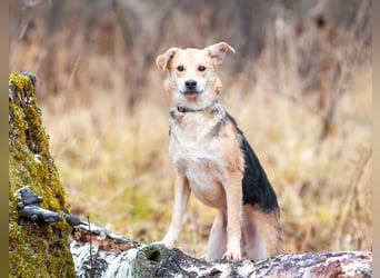 Asya ist schüchtern aber mit viel liebe...