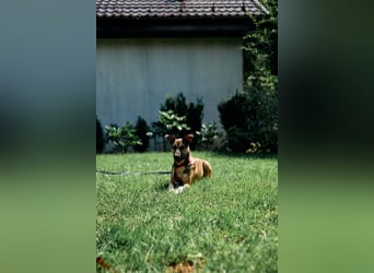 Eva sucht neues Glück für immer