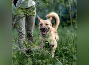 Archie möchte das Leben leben