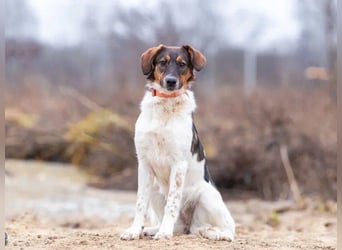 Greta sucht ihre Menschen für immer