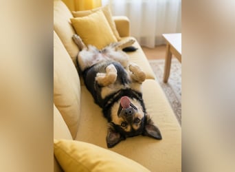 Der mutige Philip sucht seine Menschen