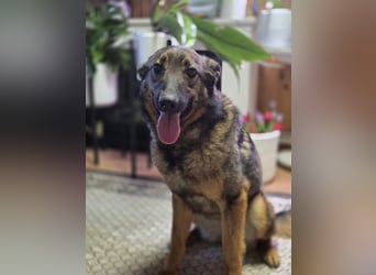 Ein Herz für Vasilisa geben Sie ihr eine Chance auf ein glückliches Leben!