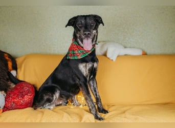 Odin sucht End platz!!!