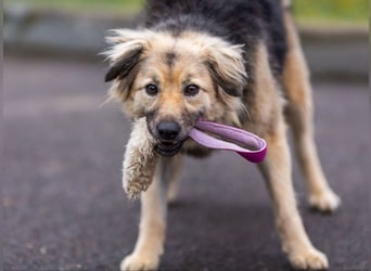 Aktiv und fröhlich durchs Leben mit Lora