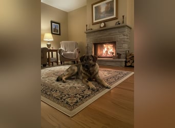 Selbstbewusste Tosya sucht aktive Menschen