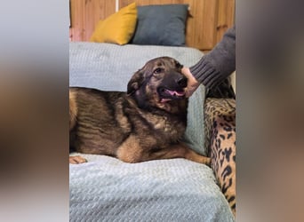 Ein Herz für Vasilisa geben Sie ihr eine Chance auf ein glückliches Leben!