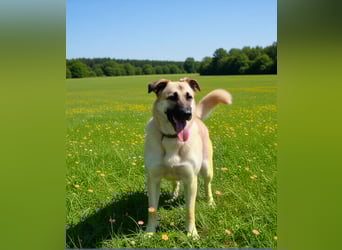 Jessie sucht ein aktives Leben