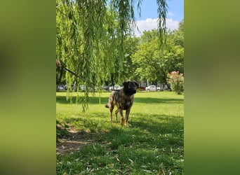 Selbstbewusste Tosya sucht aktive Menschen