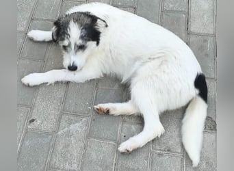 Luna - wer hat mich lieb ?