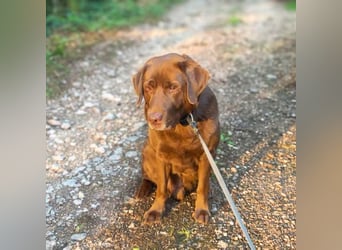 Moses - ist lieb&vorsichtig bei Kindern