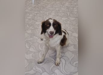 Hübsche ELZA sucht ihr Zuhause!