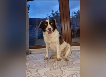 Hübsche ELZA sucht ihr Zuhause!
