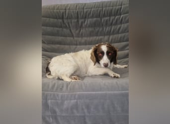 Hübsche ELZA sucht ihr Zuhause!