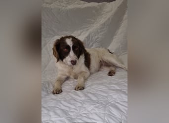 Hübsche ELZA sucht ihr Zuhause!