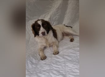 Hübsche ELZA sucht ihr Zuhause!